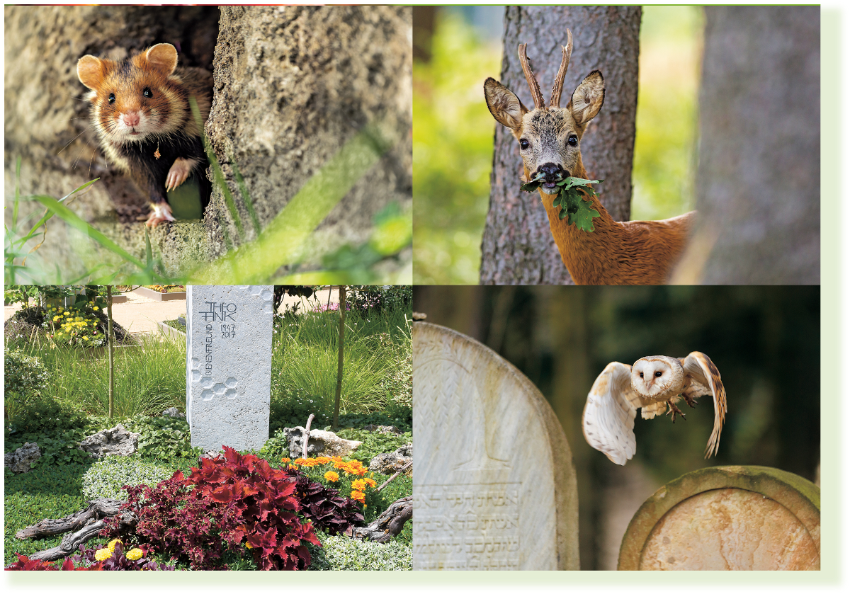 Impressionen vom Friedhof