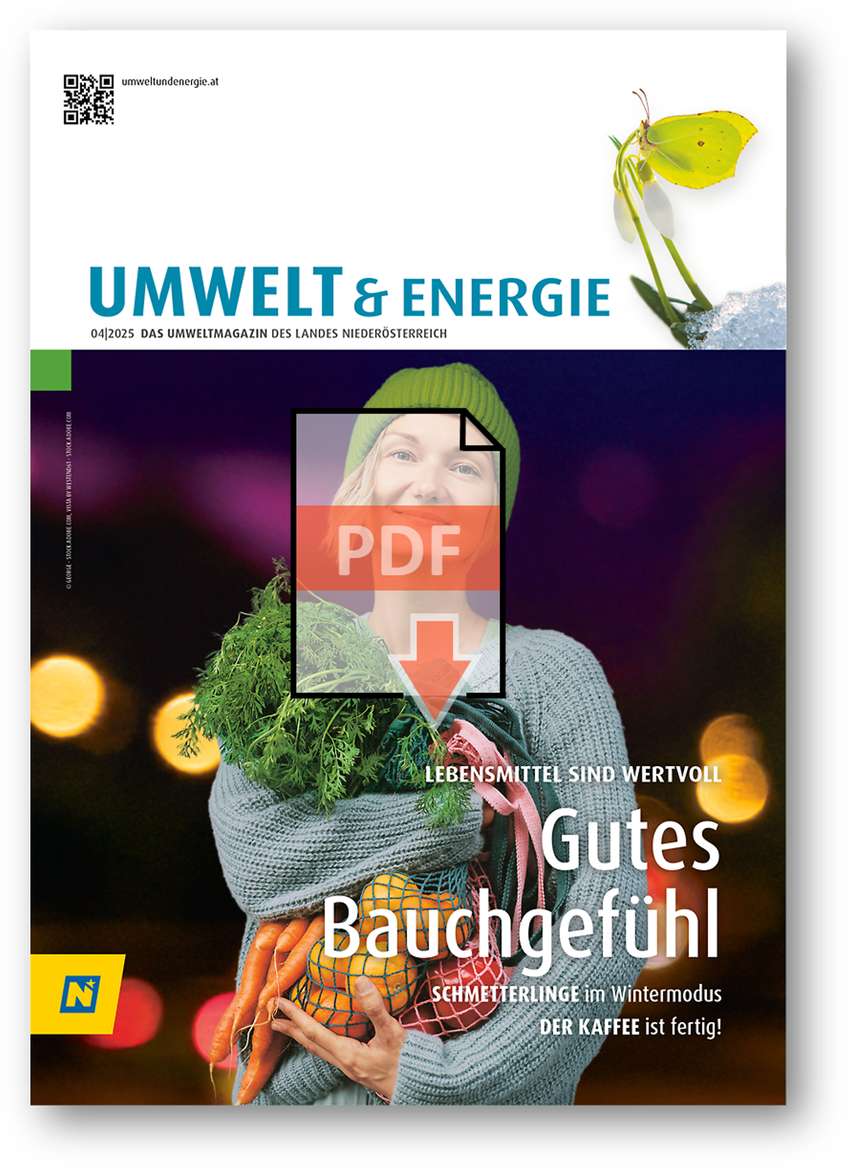 Cover der Broschüre als Link zum Download