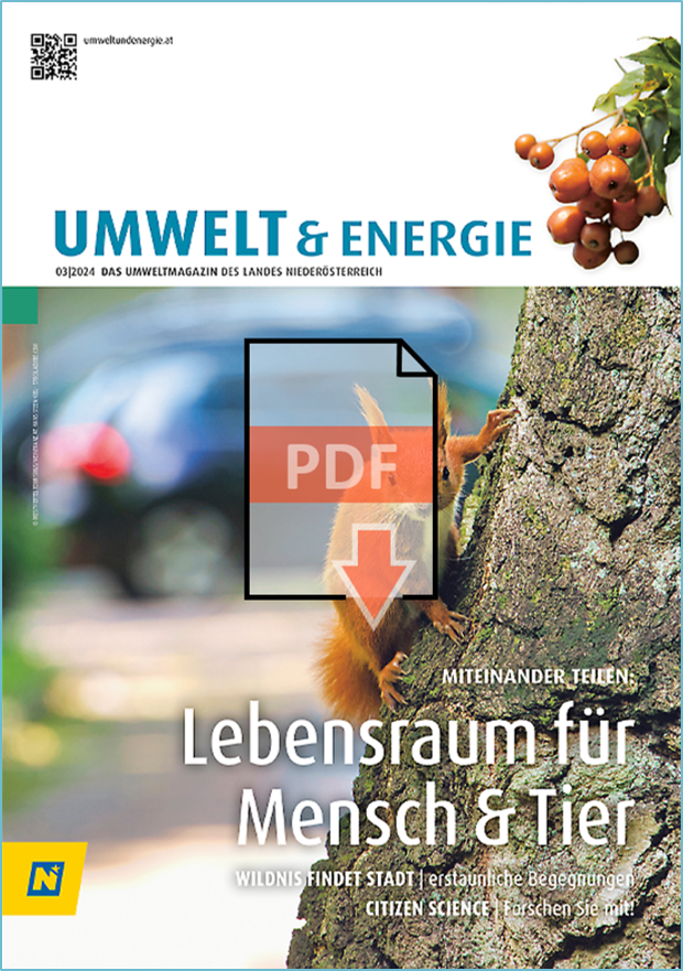 Magazin 03 aus 2024