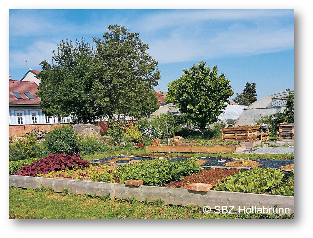Gemüsegarten im SBZ Hollabrunn