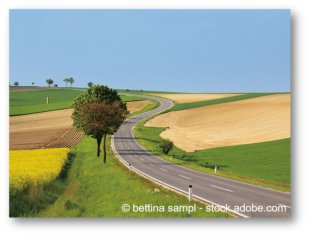 langezogene Straße in NÖ, links und rechts Felder