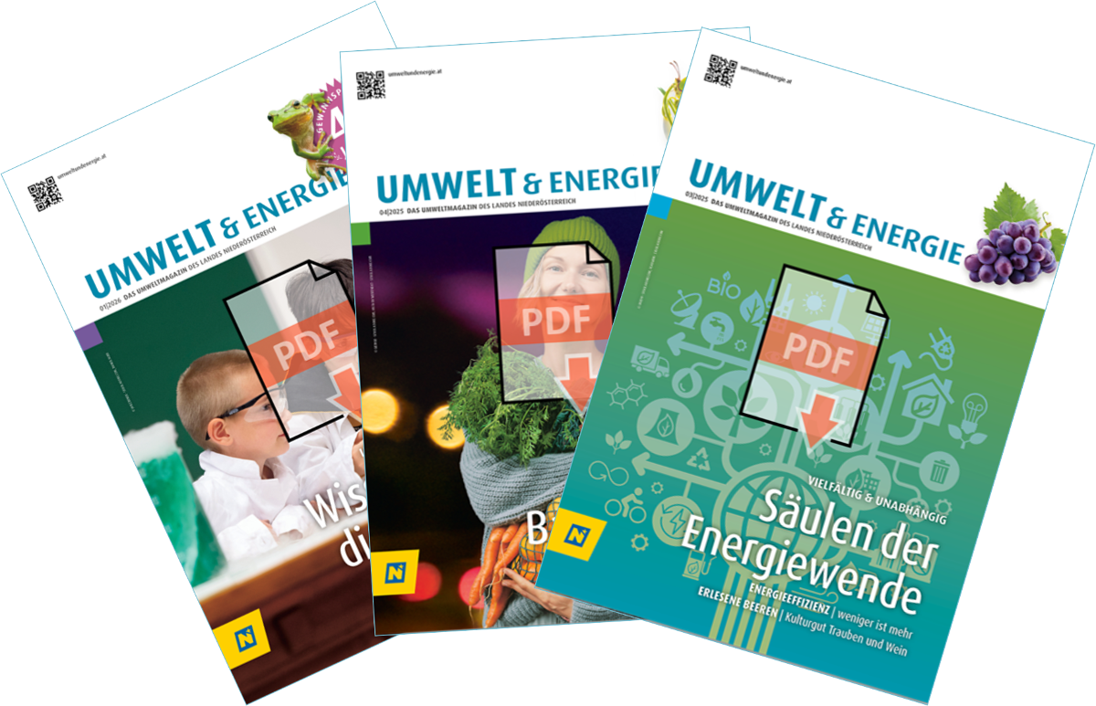 Coverbilder von drei Ausgaben des Magazins; Link zum Archiv