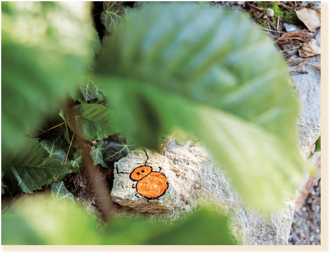 Ein gemalter Käfer auf einem Stein
